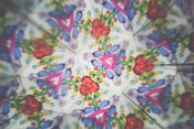 Microdose-1PLSD.DE