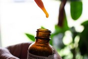 CBD Produkte-1PLSD.DE