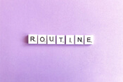Routinen-1PLSD.DE